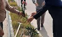 کاشت نهال درخت در حیاط دانشگاه به مناسبت روز درختکاری