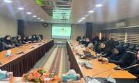 برگزاری کارگاه آموزشی پویش ملی پیشگیری، غربالگری و تشخیص زودهنگام سرطان پستان